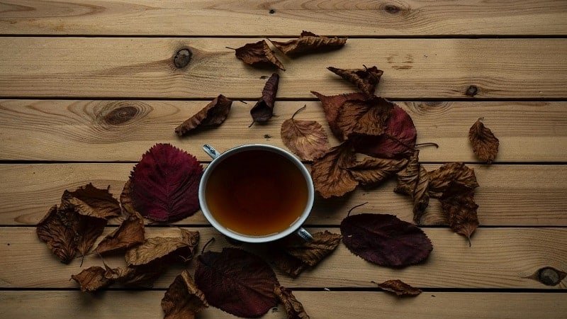 Best Herbal Teas for Hemorrhoids