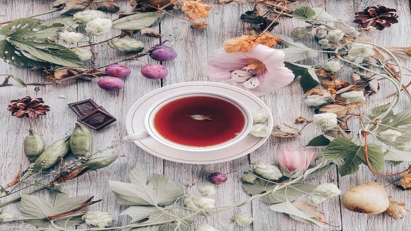Best Herbal Teas for Migraines